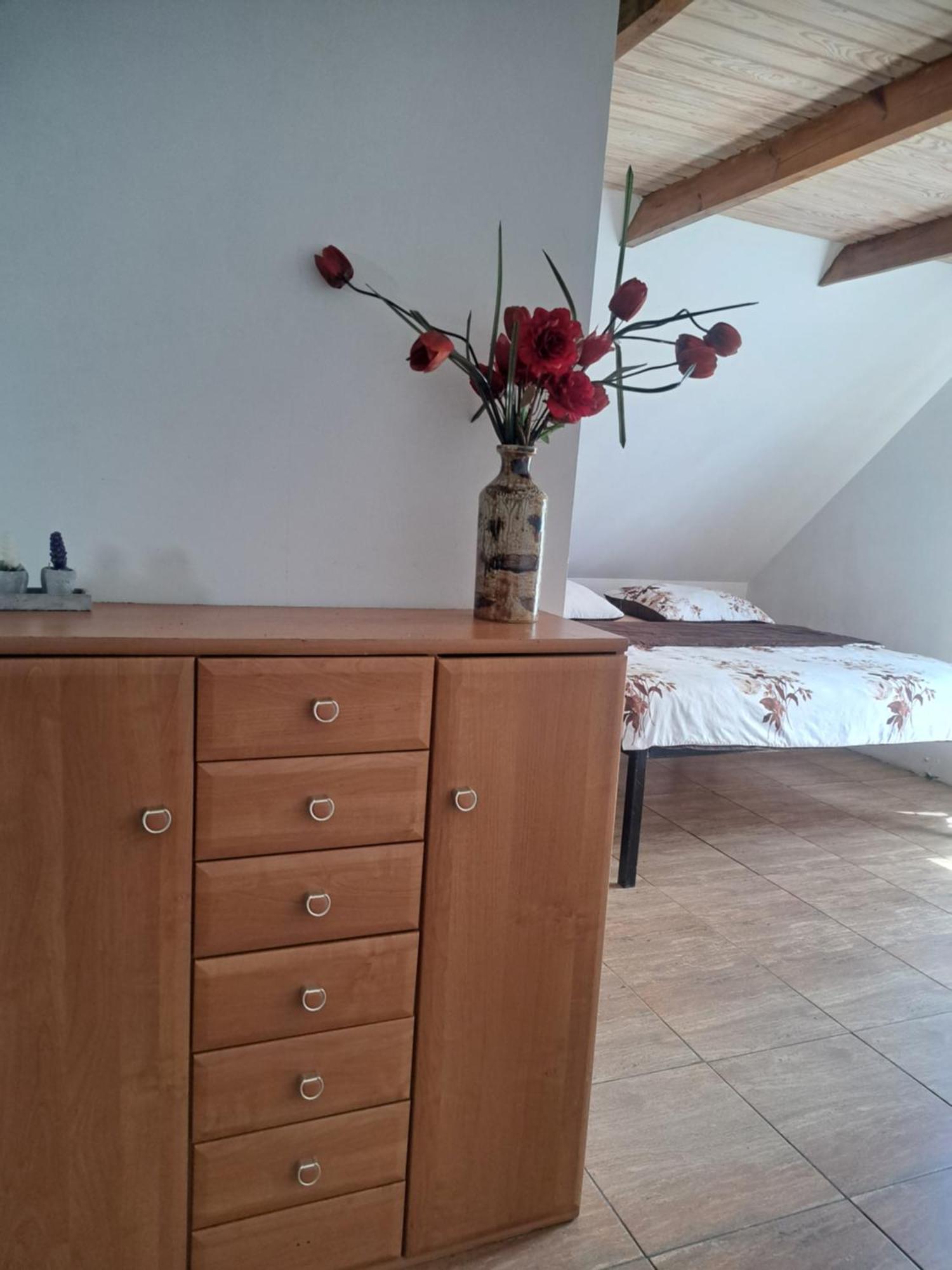 Bizon Guest House Sadowne Bagian luar foto