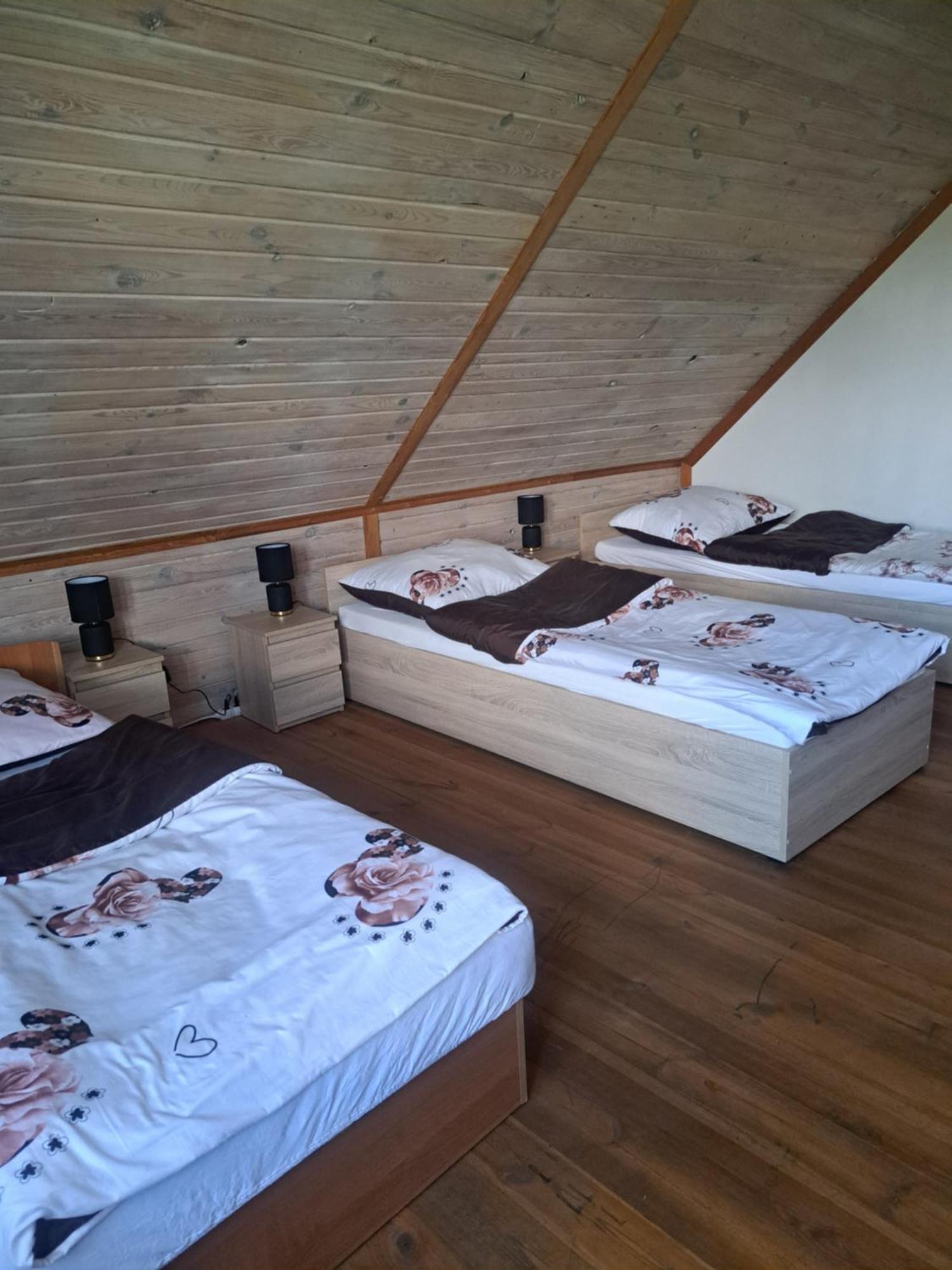 Bizon Guest House Sadowne Bagian luar foto